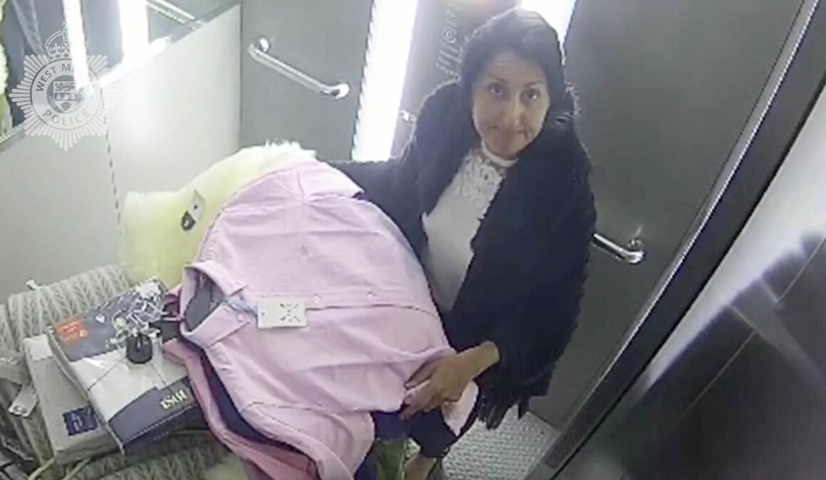 Shoplifter who made it her ‘full-time job’ to defraud high street retailers of £500,000 committed ‘tsunami of dishonesty on an Olympian scale’ – as she is jailed for 10 years