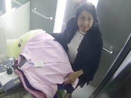 Shoplifter who made it her ‘full-time job’ to defraud high street retailers of £500,000 committed ‘tsunami of dishonesty on an Olympian scale’ – as she is jailed for 10 years