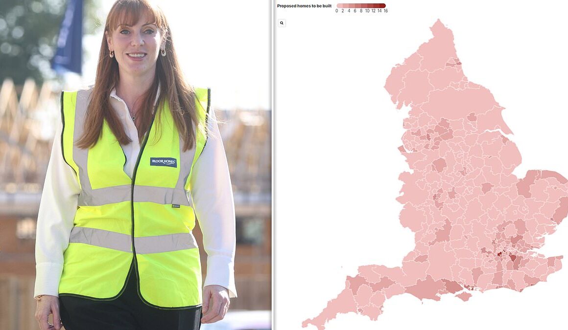 Angela Rayner denies wanting to ‘concrete over’ the countryside as she unveils plans for ‘new towns’ after announcing extraordinary move to force councils to deliver 1.5m homes – with one Tory-controlled area forced to build SEVEN TIMES more houses