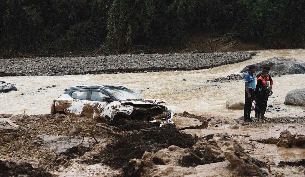 Landslide disaster leaves at least 150 dead with hundreds more feared buried alive in tea plantations after ‘incessant’ rain in India