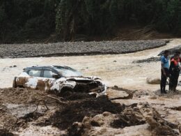 Landslide disaster leaves at least 150 dead with hundreds more feared buried alive in tea plantations after ‘incessant’ rain in India