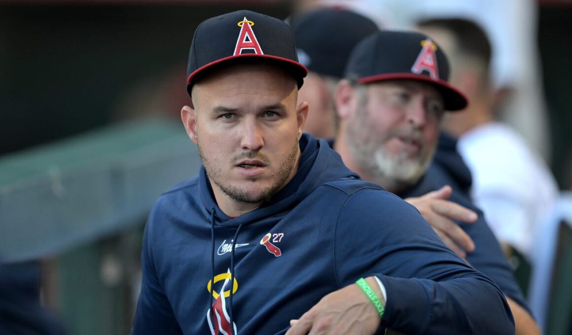 Trout faces setback, pauses rehabTrout faces setback, pauses rehab