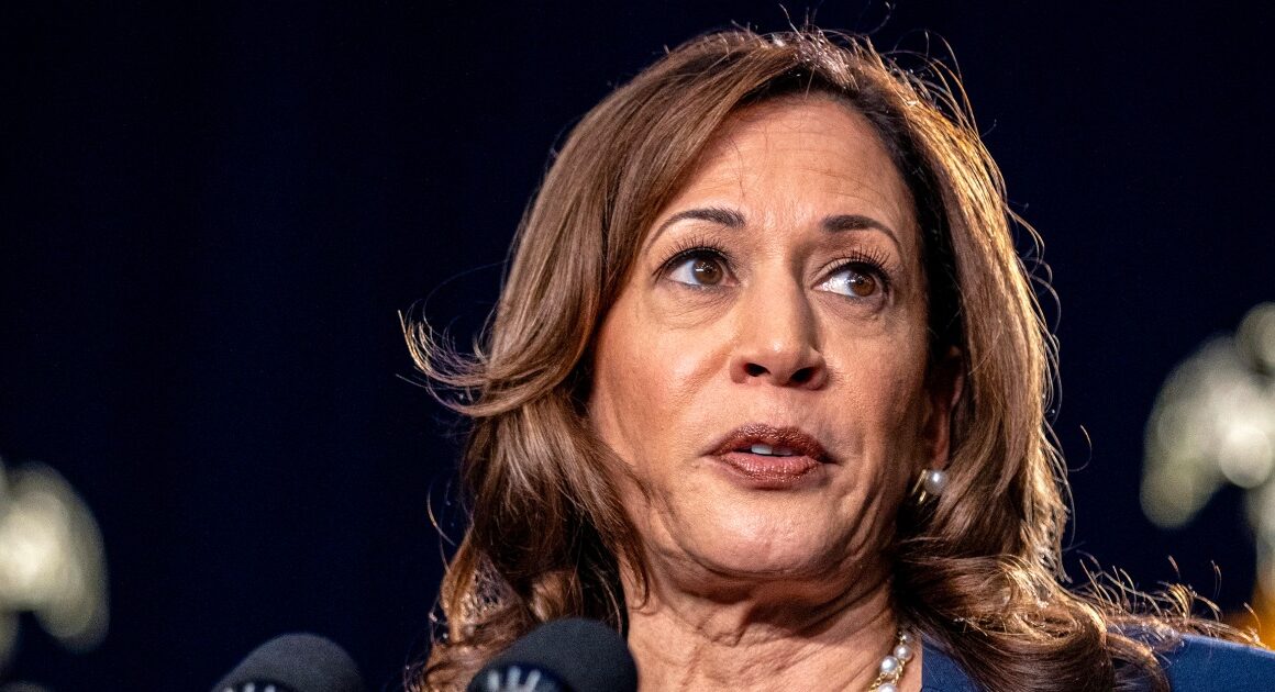 Harris’ political ascent makes her the latest target of DEI insults