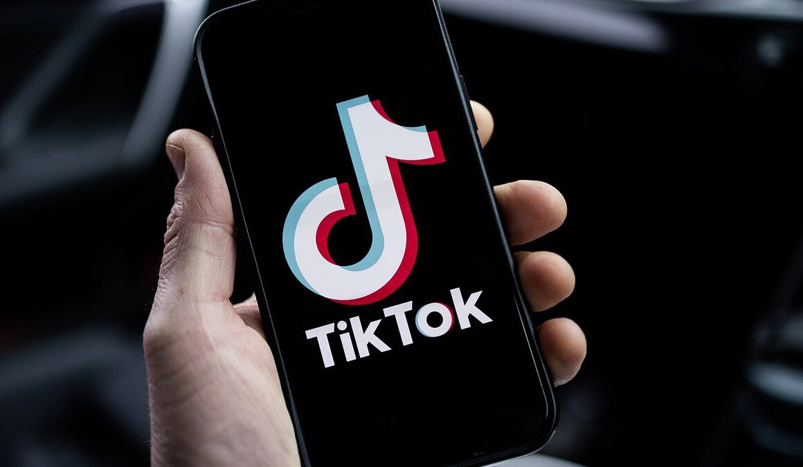 Congressional staff have two weeks to enjoy TikTok on government phones until it’s REMOVED permanently