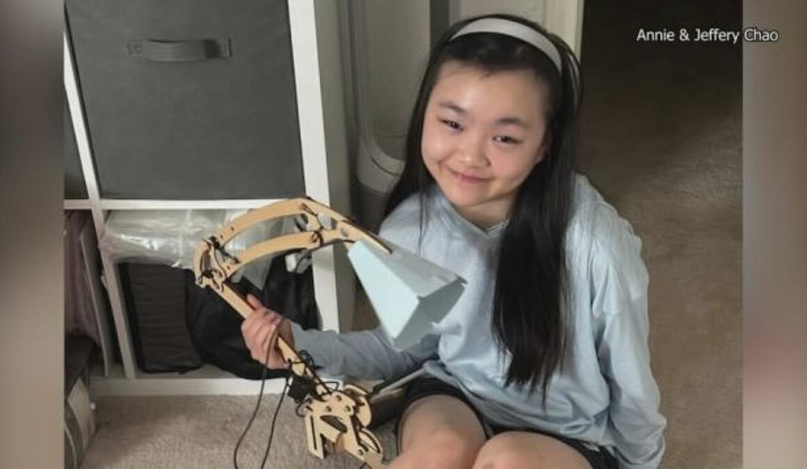 Mystery deepens in case of missing California girl Alison Chao, 15, who turned up outside TV station ‘to tell her story’ as police file charges