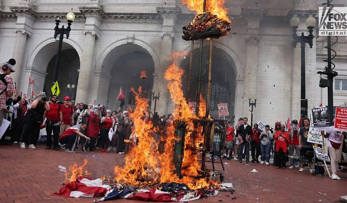 Anti-Israel agitators stage massive protest in Washington, DC, amid Netanyahu’s US visit