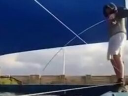 Shocking moment teens are caught reeling in fish at AQWA aquarium at Hillarys in Perth