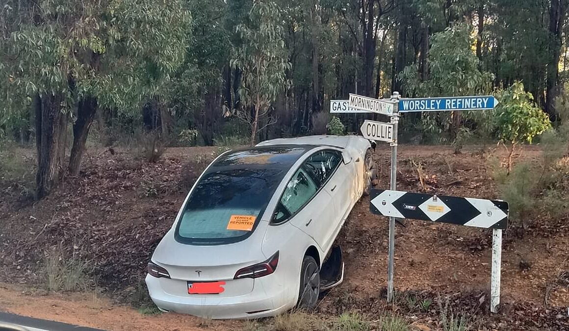 Tesla driver is brutally called out after bizarre sight on the roadside: ‘You can’t park there’