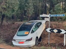 Tesla driver is brutally called out after bizarre sight on the roadside: ‘You can’t park there’