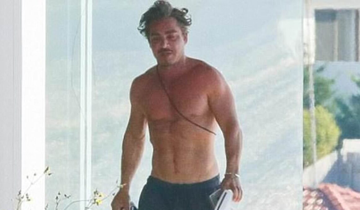 BREAKING NEWSDover Heights arrest: Two men in balaclavas caught near John Ibrahim’s home