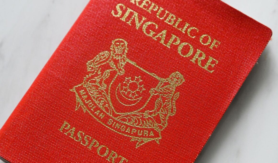 Some Of The World’s Most Powerful Passports Aren’t Easy To Get—Here’s What It Takes