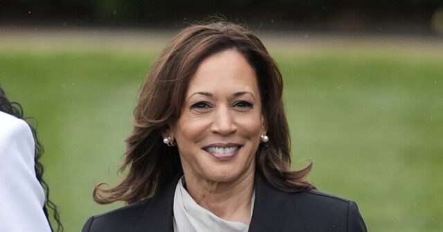 FACT FOCUS: A look at false claims around Kamala Harris and her campaign for the White House