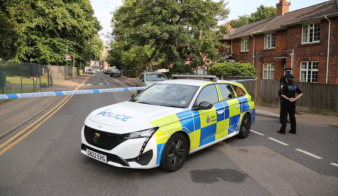 BREAKING NEWSMan, 24, is charged with attempted murder after lieutenant colonel stabbed outside Kent barracks in broad daylight