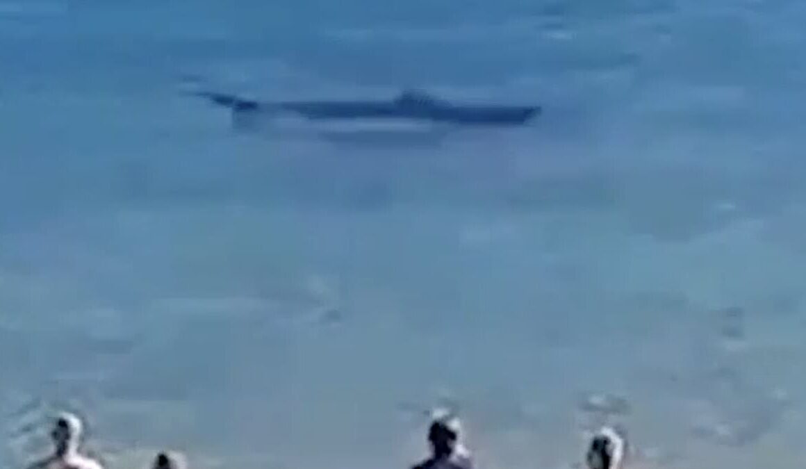 Families flee the water was a ten-foot shark swims up to the shore off Spanish beach