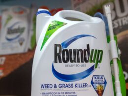 Roundup weed killer class action: Devastating blow for cancer victims as court hands down landmark ruling