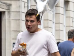 Hungry Greggs customers are being terrorised by an aggressive seagull which is dive-bombing them and stealing their lunches