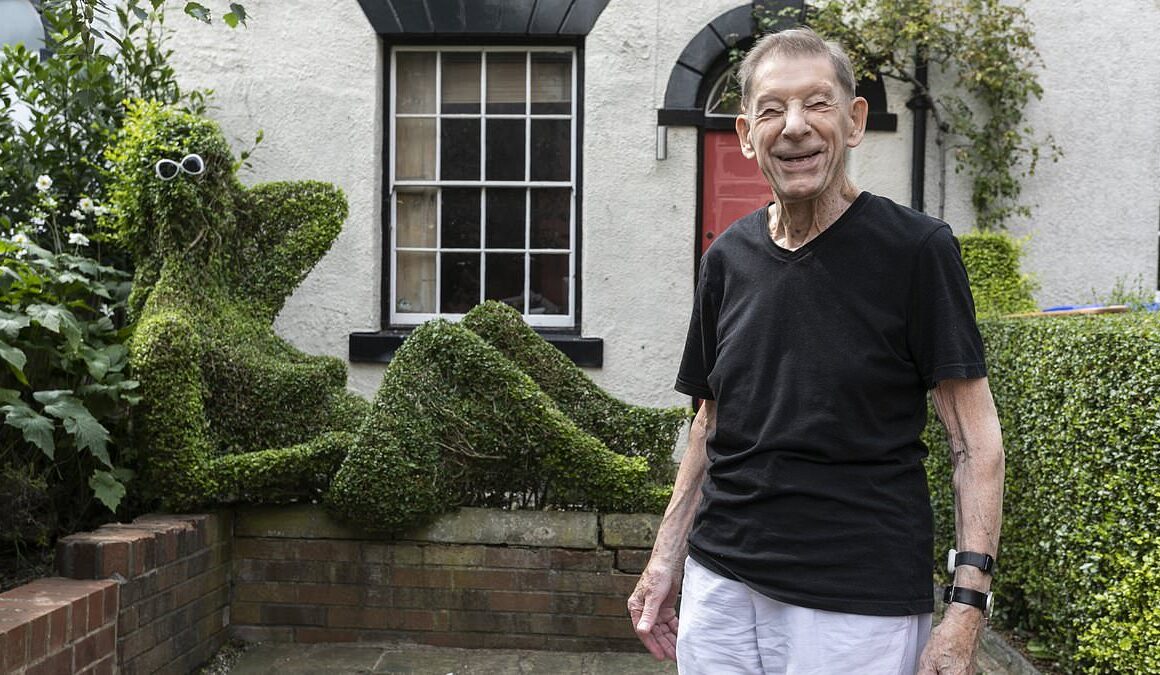 I cut the hedge outside my home into the shape of a naked lady – but drunk people keep pretending to have sex with it