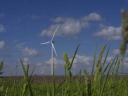 Wind farms’ benefits to communities can be slow or complex, leading to opposition and misinformation