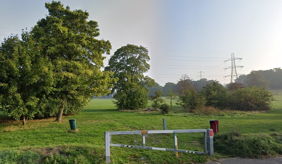 ‘Human organs’ are found in container in south London park as Met police launch forensics probe