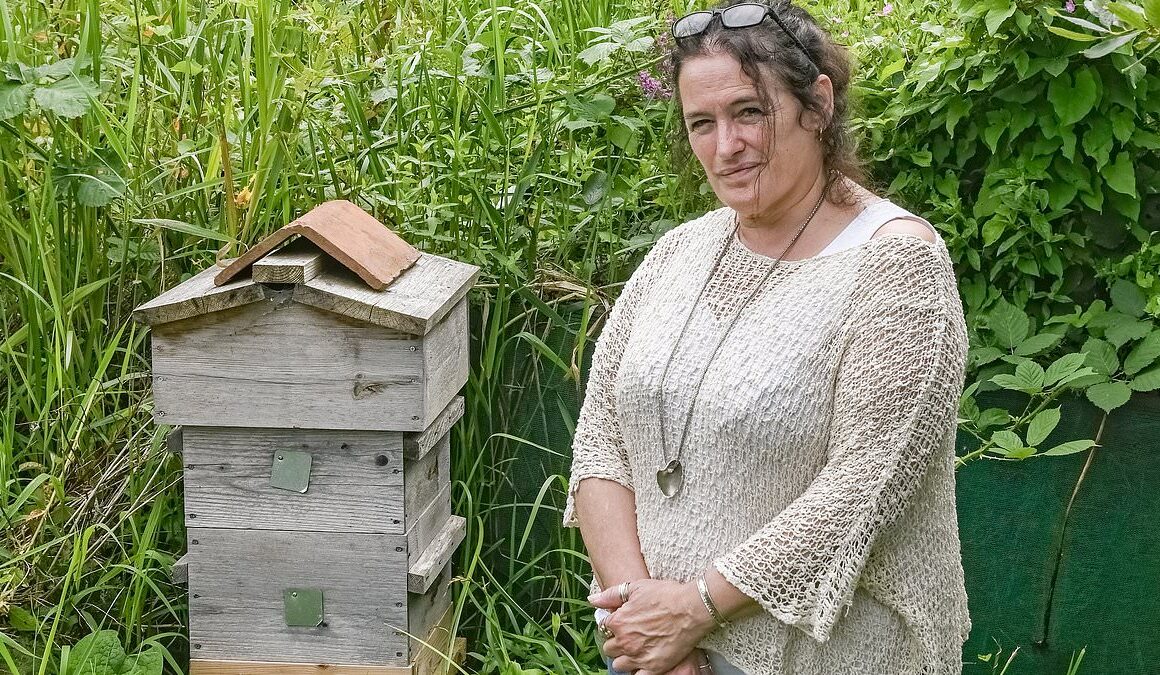 Allotment owners threatened with eviction unless they remove their beehives… by ‘wildlife-loving’ council