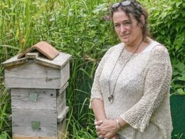 Allotment owners threatened with eviction unless they remove their beehives… by ‘wildlife-loving’ council