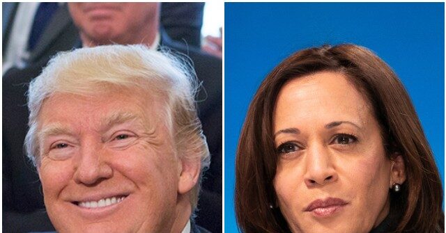 Polls: Trump Edging Harris in Key Battleground States