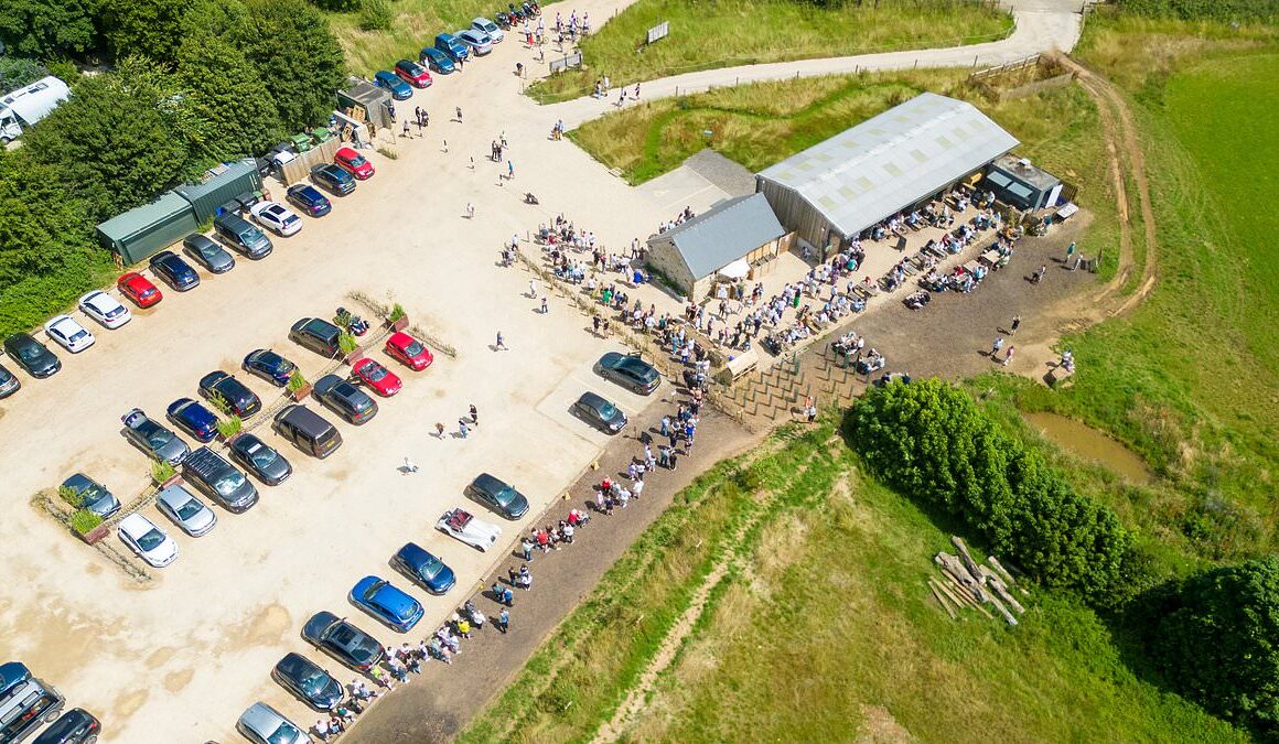 Huge queues form outside Jeremy Clarkson’s Diddly Squat farm as fans wait two hours to visit his shop – with vehicles left dumped at the side of the road as site’s car parks overflow