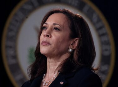 6 House Dems vote with GOP to condemn Kamala Harris for ‘border czar’ role