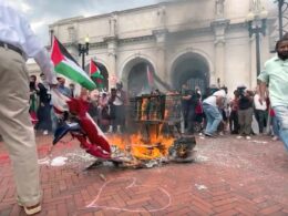 VP Harris finally reacts to DC violence, hours after flag burning by anti-Israel agitators