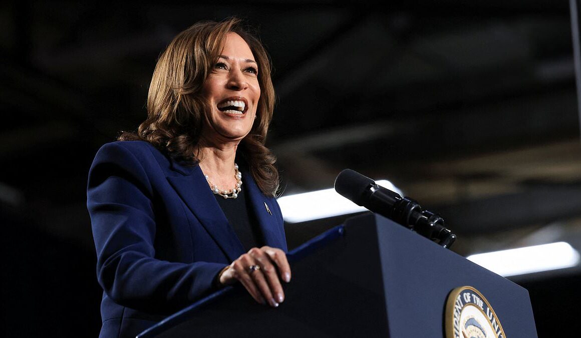 EXCLUSIVEKey swing state voters reveal who they think Kamala Harris should pick as her running mate… as a dozen names emerge on her VP list