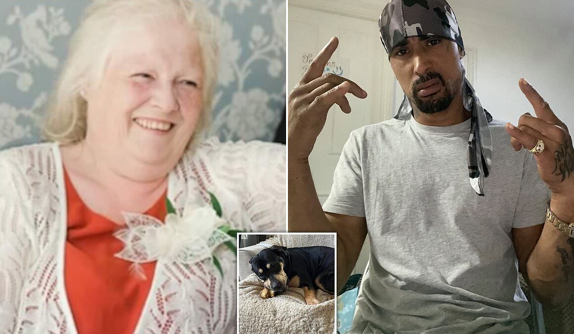 Wannabe drill rapper, 40, is charged over death of mother-in-law, 68, after she was mauled by two ‘unregistered’ XL Bullies inside Jaywick chalet