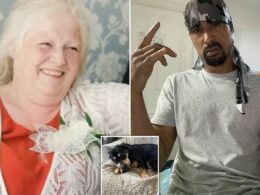 Wannabe drill rapper, 40, is charged over death of mother-in-law, 68, after she was mauled by two ‘unregistered’ XL Bullies inside Jaywick chalet