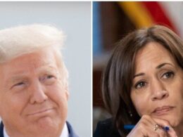 Nolte: Poll—Donald Trump Leads Kamala Harris by 7 Nationally, 50-43 Percent