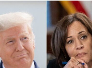 Nolte: Poll—Donald Trump Leads Kamala Harris by 7 Nationally, 50-43 Percent