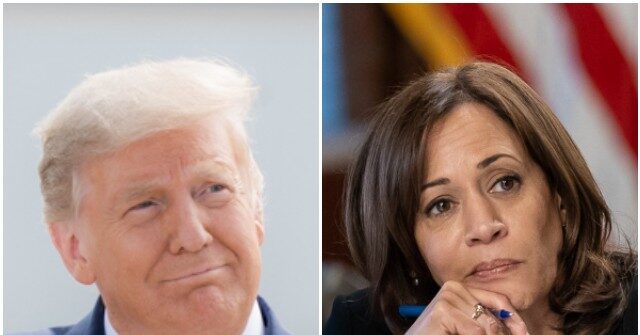 Nolte: Poll—Donald Trump Leads Kamala Harris by 7 Nationally, 50-43 Percent