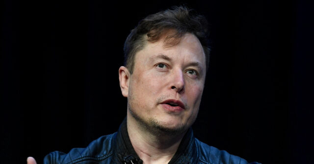 The EV Blues: Elon Musk’s Net Worth Drops $16 Billion as Tesla Stock Plummets