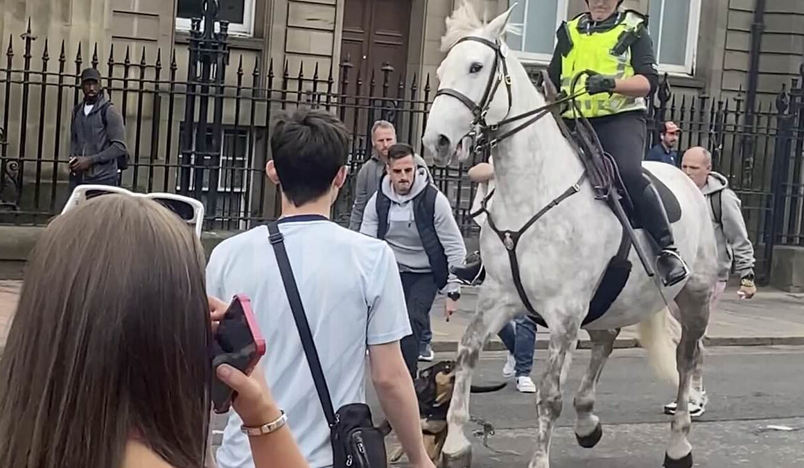 Shocking moment out-of-control dog attacks police horse – and nearly gets trampled 