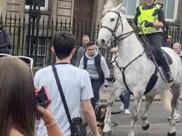 Shocking moment out-of-control dog attacks police horse – and nearly gets trampled 