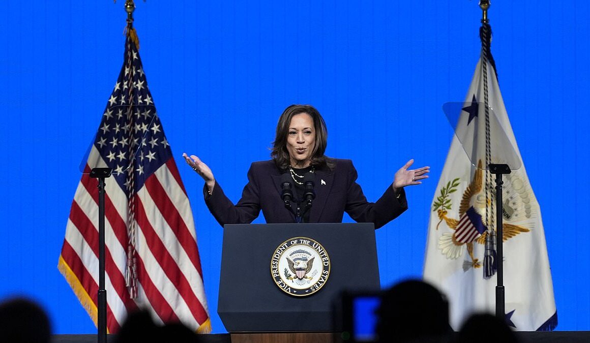 Kamala Harris claims Republican policies mean gay teachers can’t put up family photos and attacks GOP for wanting to ‘ban books’ instead of assault weapons