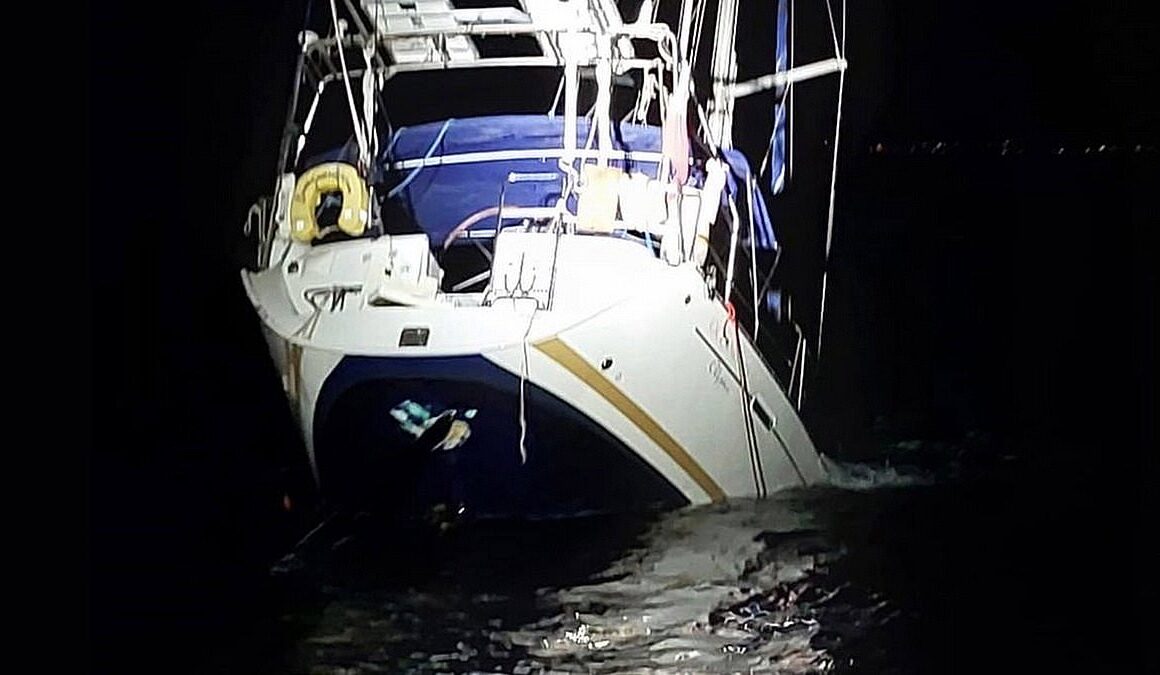 Terrifying moment Brit’s boat sinks after being attacked by ORCAS off Gibraltar