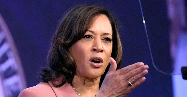 CNN’s Heye: GOP’s ‘Sh-ts And Giggles Caucus’ Attacking DEI VP Harris Is ‘Dumb’