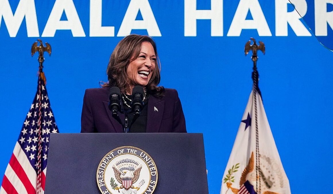 Democrats embrace provocative ‘brat’ Gen-Z saying that’s driving Kamala Harris’ campaign… but some still don’t REALLY know what it means