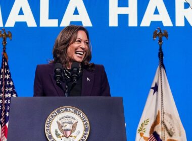 Democrats embrace provocative ‘brat’ Gen-Z saying that’s driving Kamala Harris’ campaign… but some still don’t REALLY know what it means