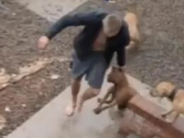 Moment dog owner, 21, brutally beats pet before yanking him around yard – before mistreating another so bad she was left with scabs and patches of fur missing