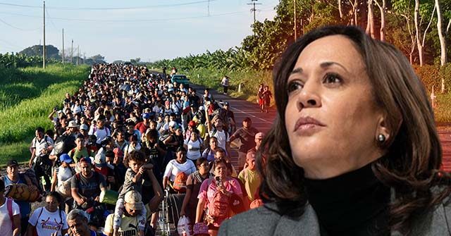 Kamala Harris’s Election Strategy Ignores Border Chaos, Mass Migration