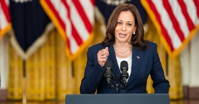 NewsBusters: CNN, MSNBC, CBS, ABC Called Kamala Harris the ‘Border Czar’ 