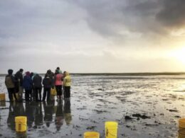 William & Mary expands new climate-focused major, deepens coastal research with $100 million gift