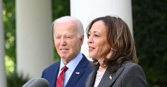 Nolte: Democrat Megadonor Says Biden Endorsement of Kamala Is His ‘F**k You’ to Dems