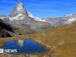 Swiss limit tourist access in bid to bring back edelweiss