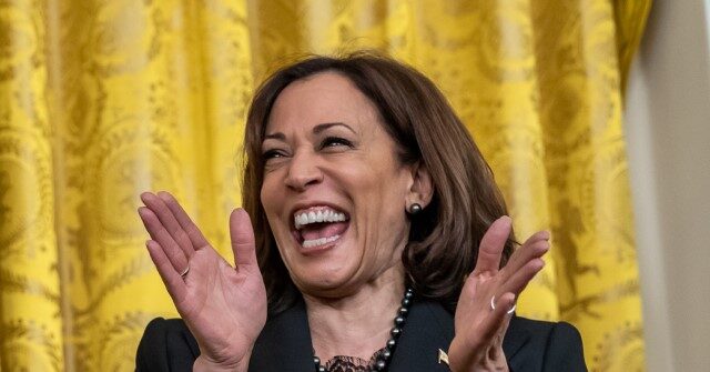 China’s TikTok ‘Explodes’ with Memes Supporting Kamala Harris